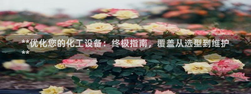 新航娱乐公司旗下艺人都有谁