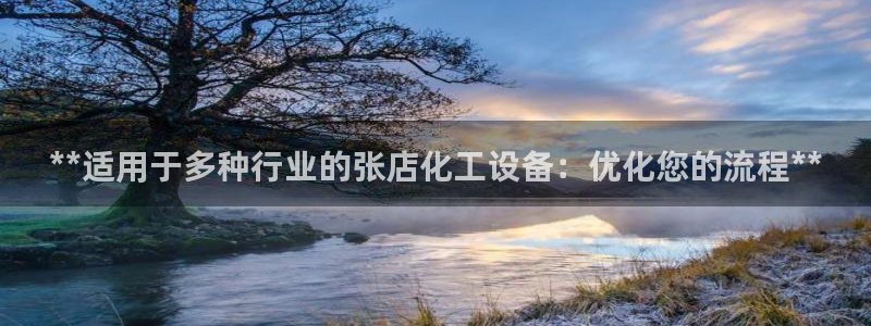 新航娱乐平台用户评价及反馈