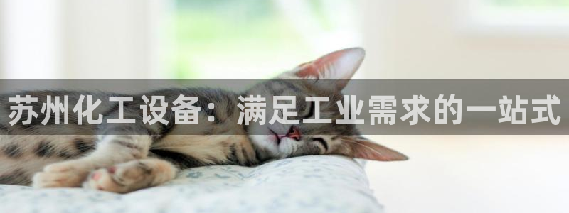 新航娱乐的员工工资福利及待遇