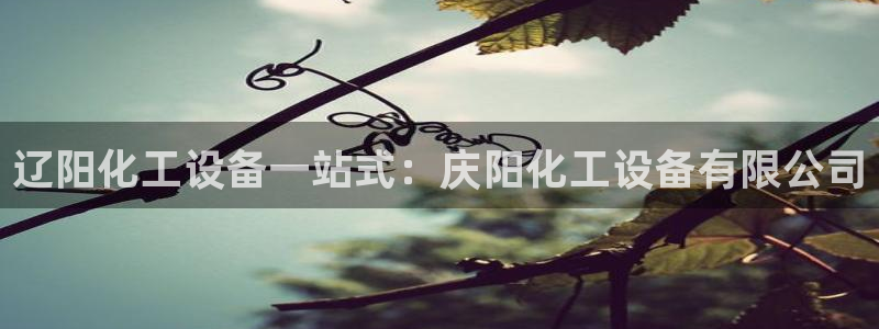 新航娱乐的创始人简介