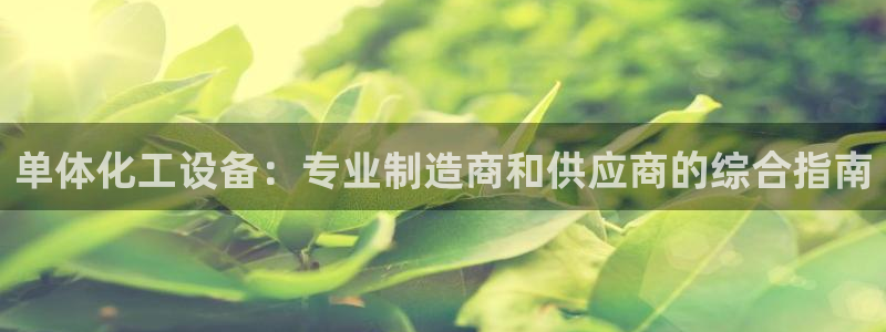 新航娱乐公司简介和历史背景介绍