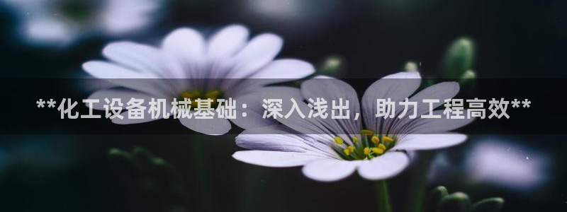 新航娱乐探索无限撼底空间