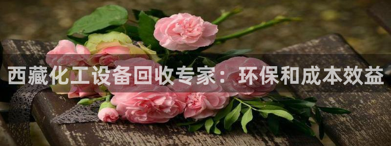 新航娱乐集团最新消息今天