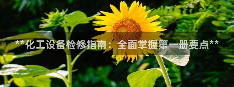 新航娱乐倒闭了吗知乎