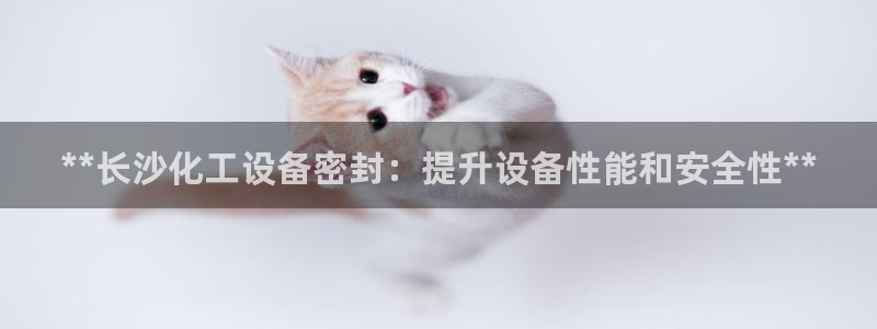 新航娱乐app的最新版本更新内容