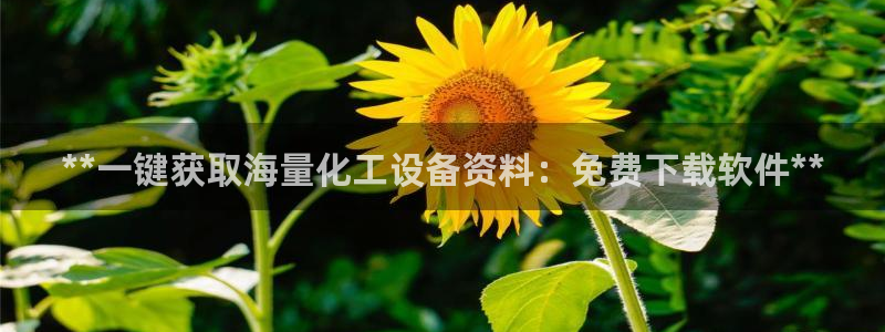 新航娱乐注册平台注册的步骤和注意事项