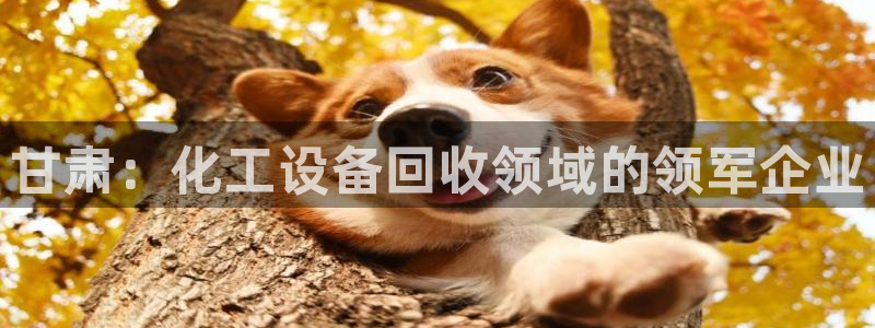 新航娱乐扣费是什么费用啊多少钱