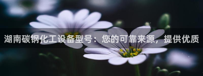 新航娱乐扣款详情怎么看