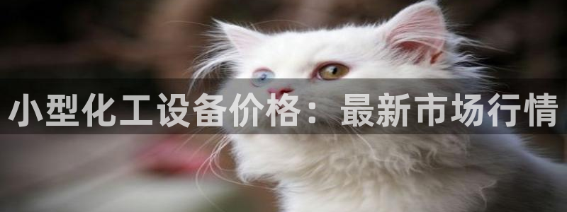 新航娱乐集团最新消息官网