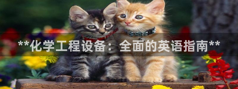 新航娱乐总代理是谁