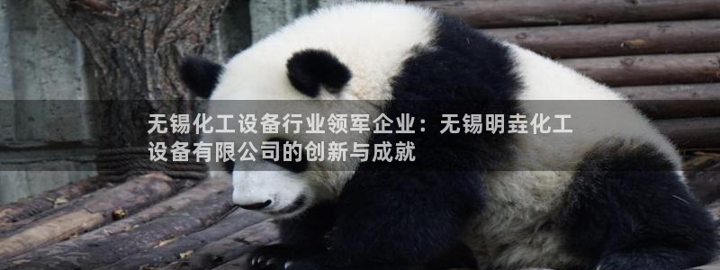 新航娱乐公司简介和历史背景介绍