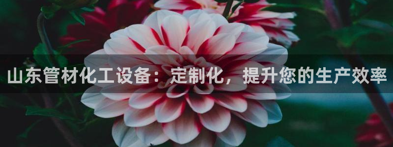 新航娱乐公司扣费流程详解表最新