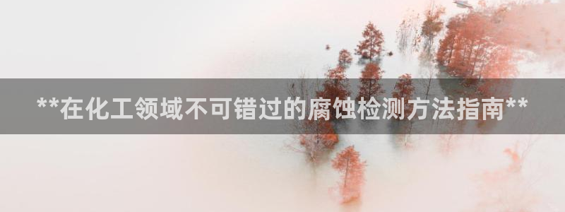 新航娱乐公司扣费流程详解图