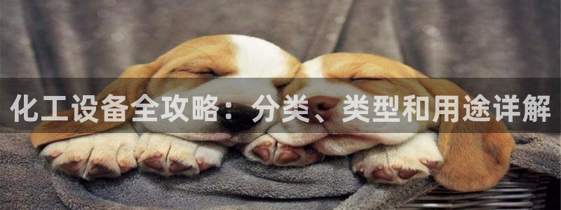 新航娱乐公司扣费流程详解表