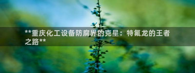新航娱乐app的最新版本更新内容是什么