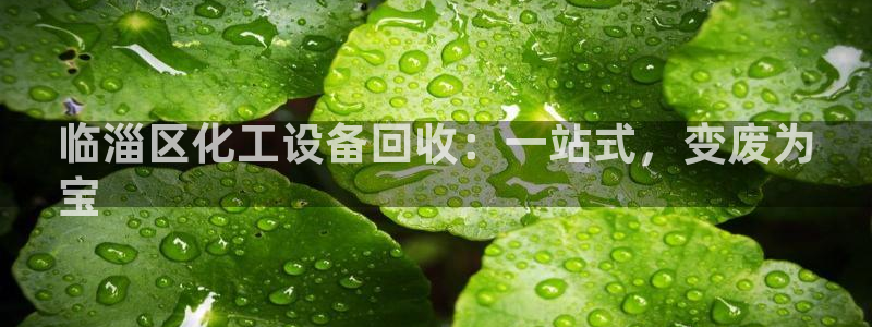 新航娱乐的会员权益与保障在哪