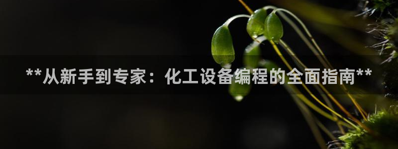 新航娱乐公司简介和历史背景