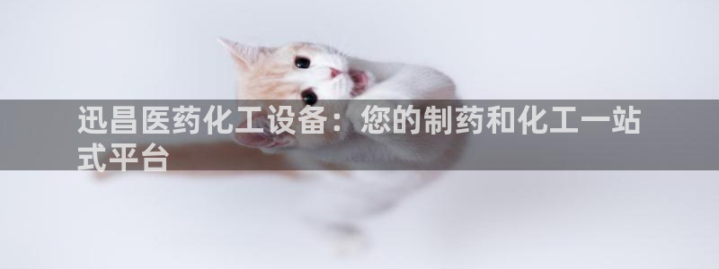 新航娱乐公司旗下艺人有哪些