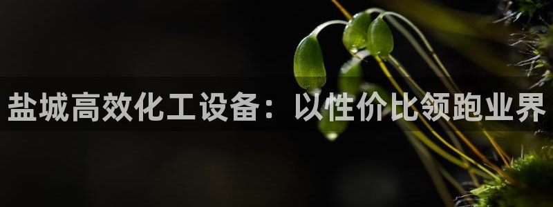 新航娱乐平台用户评价及反馈