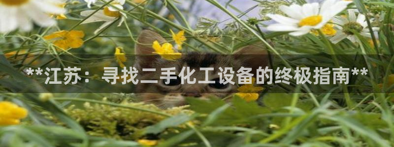 新航娱乐入.新航娱乐.几年了.长久.中国