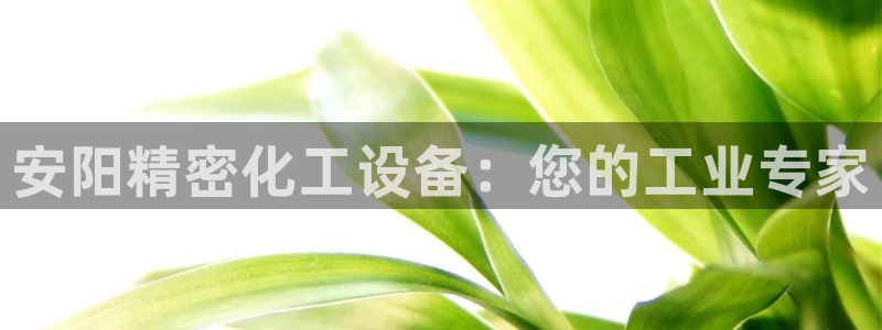 新航娱乐公司扣费流程详解图片