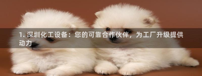 新航娱乐元哥