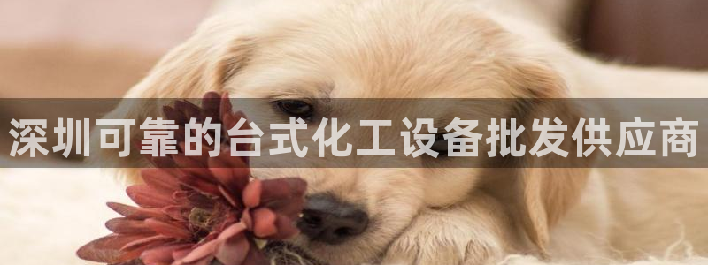 新航娱乐背后的老板是谁