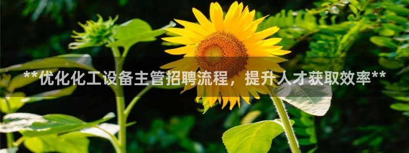 新航娱乐的员工工资福利及待遇