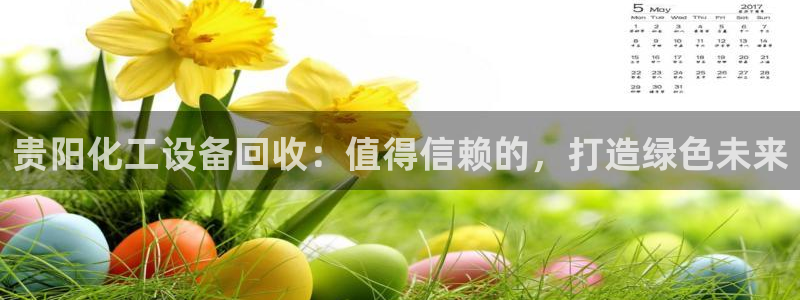 新航娱乐公司简介和历史背景