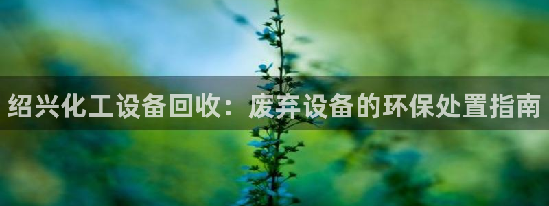 新航娱乐平台app下载
