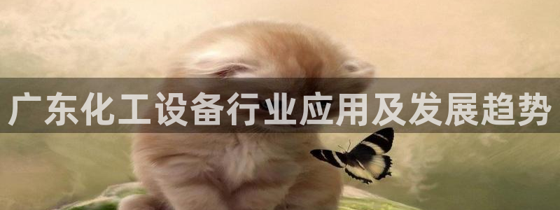 新航娱乐属于什么级别