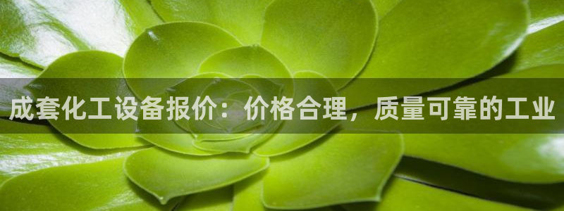 新航娱乐公司简介和历史背景