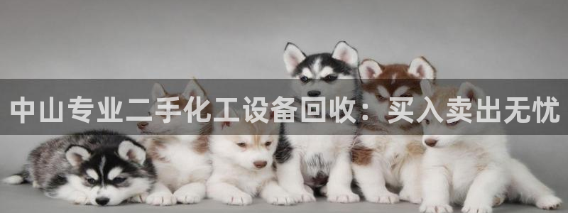 新航娱乐的员工工资福利及待遇如何