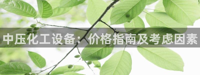 新航娱乐app手机版官网
