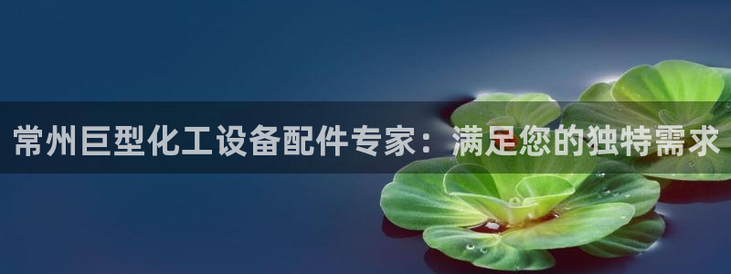 新航娱乐公司扣费流程详解表最新