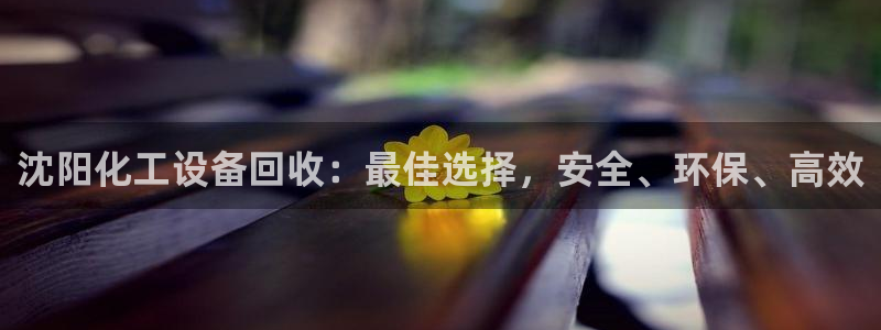 新航娱乐最新招聘信息