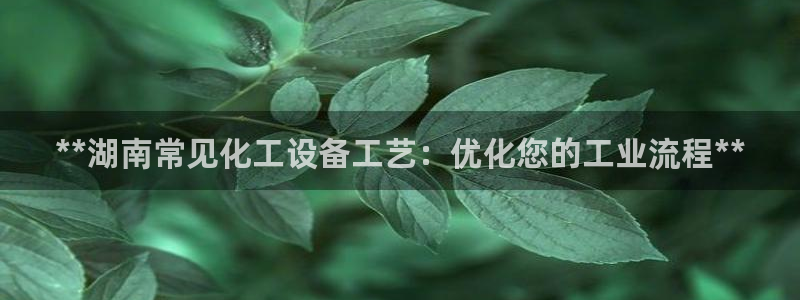 新航娱乐的背景和历史背景介绍