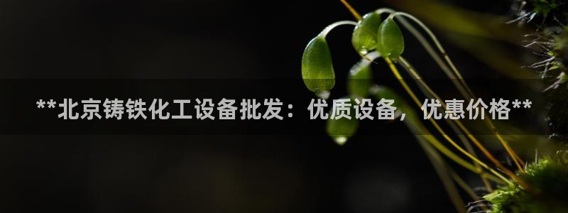 新航娱乐的创始人背景介绍
