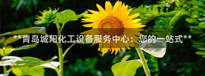 新航娱乐app手机版官网