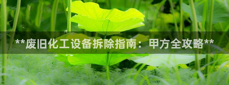 新航娱乐皮皮虾