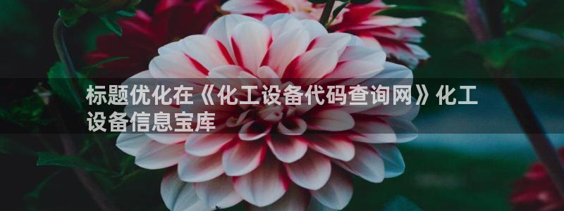 新航娱乐总代理是谁
