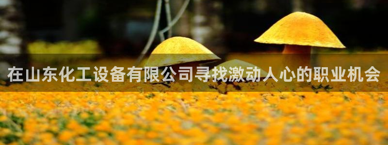 新航娱乐公司扣费流程详解