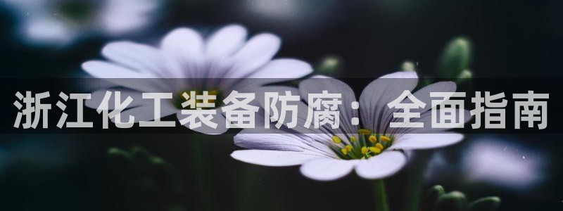 新航娱乐招商碰回复 485624 多少钱