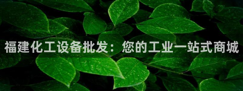 新航娱乐的最新版本更新内容