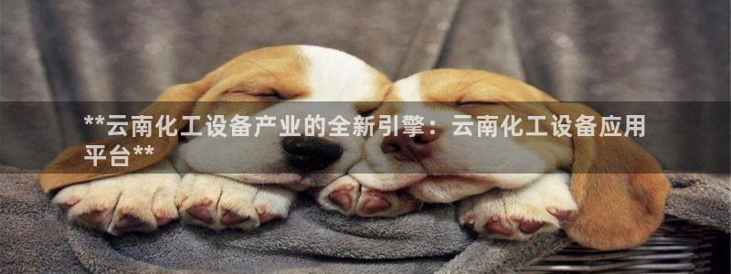新航娱乐扣款后还能重新扣费吗知乎