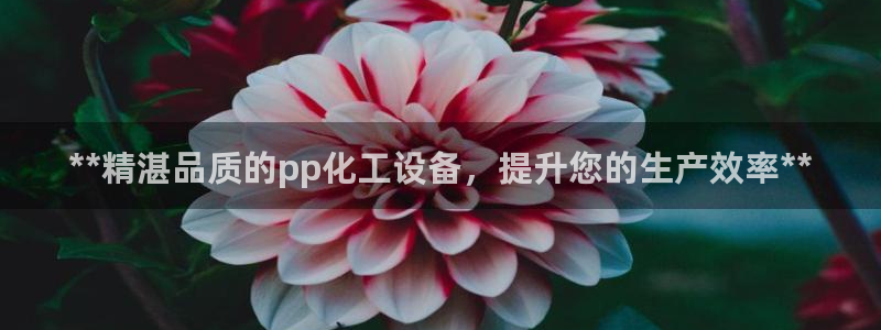 新航娱乐的创始人是谁