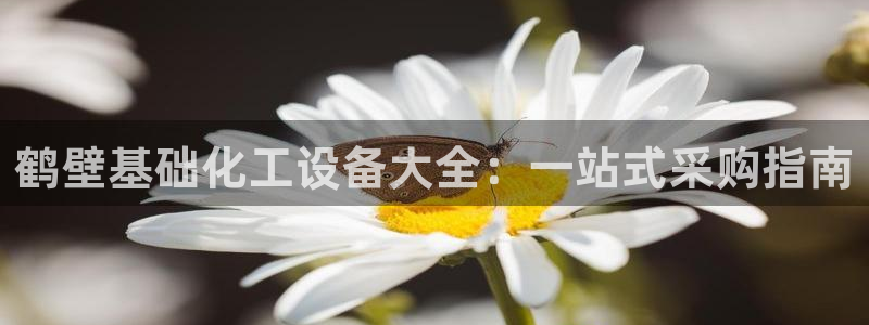 新航娱乐公司简介和历史背景