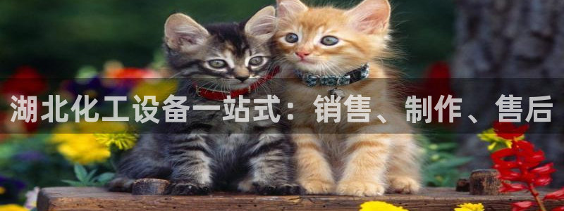 新航娱乐旗下平台有哪些