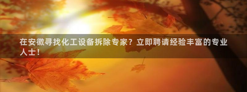 新航娱乐的背景和历史背景介绍
