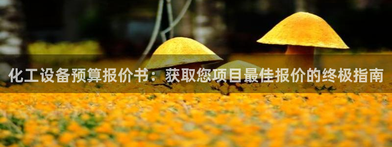 新航娱乐扣款详情怎么看：化工设备预算报价书：获取您